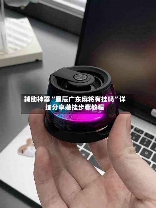 辅助神器“星辰广东麻将有挂吗”详细分享装挂步骤教程-第1张图片