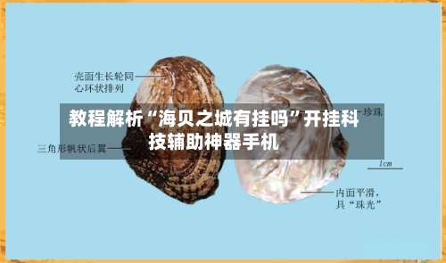 教程解析“海贝之城有挂吗”开挂科技辅助神器手机-第1张图片