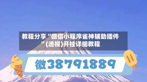 教程分享“微信小程序雀神辅助插件”(透视)开挂详细教程-第2张图片
