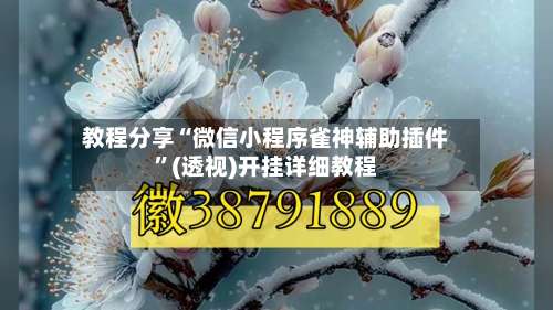 教程分享“微信小程序雀神辅助插件	”(透视)开挂详细教程-第1张图片