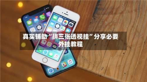 真实辅助“拼三张透视挂”分享必要外挂教程-第2张图片