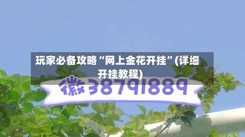 玩家必备攻略“网上金花开挂	”(详细开挂教程)-第2张图片