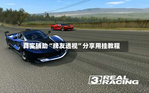 真实辅助“牌友透视	”分享用挂教程-第2张图片