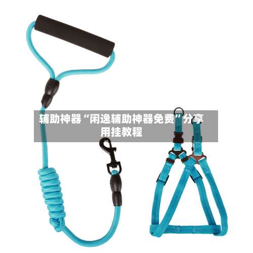 辅助神器“闲逸辅助神器免费”分享用挂教程-第1张图片