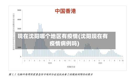现在沈阳哪个地区有疫情(沈阳现在有疫情病例吗)-第1张图片