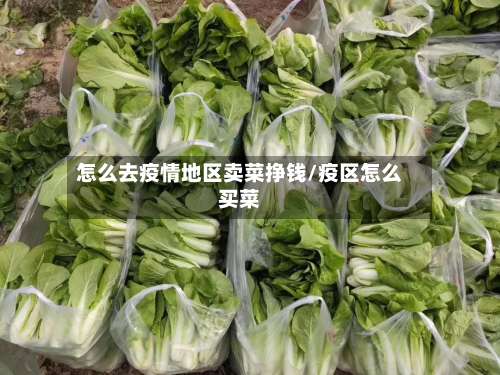 怎么去疫情地区卖菜挣钱/疫区怎么买菜-第1张图片