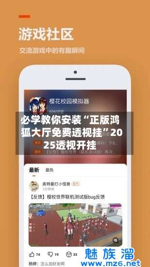 必学教你安装“正版鸿狐大厅免费透视挂”2025透视开挂-第2张图片