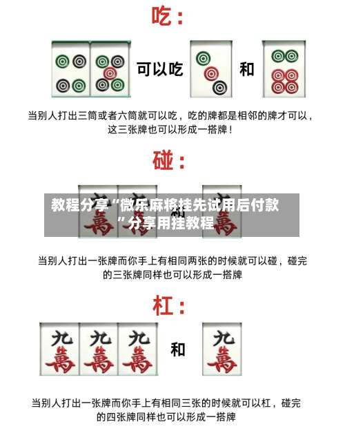 教程分享“微乐麻将挂先试用后付款	”分享用挂教程-第2张图片