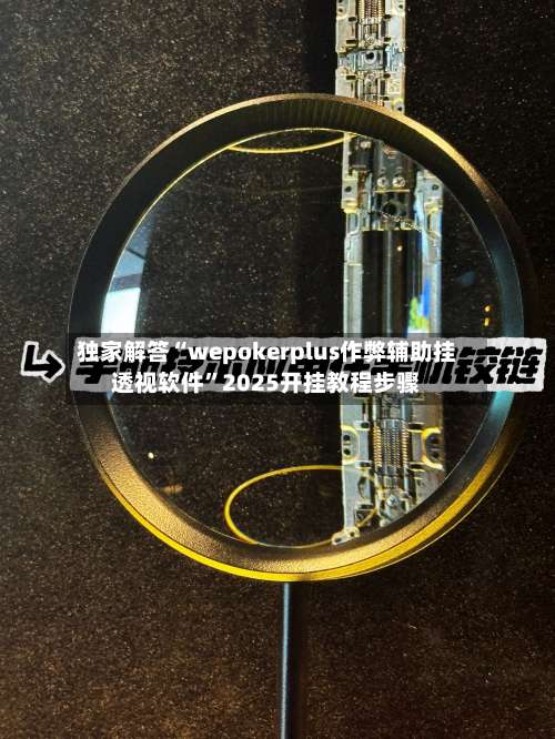 独家解答“wepokerplus作弊辅助挂透视软件”2025开挂教程步骤-第2张图片