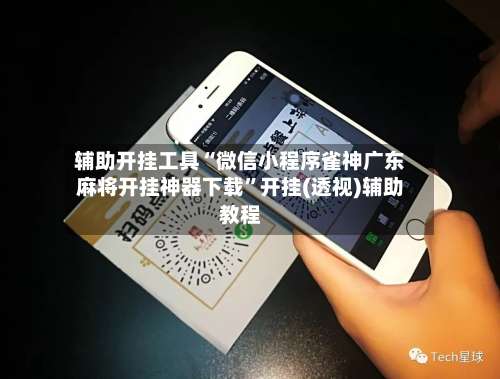 辅助开挂工具“微信小程序雀神广东麻将开挂神器下载”开挂(透视)辅助教程-第1张图片