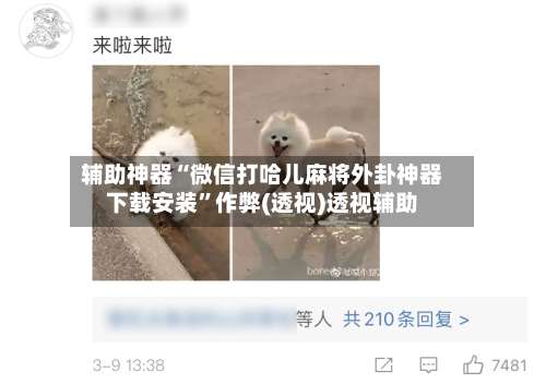 辅助神器“微信打哈儿麻将外卦神器下载安装”作弊(透视)透视辅助-第1张图片