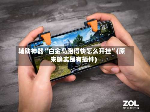 辅助神器“白金岛跑得快怎么开挂	”(原来确实是有插件)-第3张图片