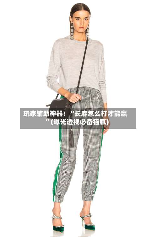 玩家辅助神器：“长麻怎么打才能赢	”(曝光透视必备猫腻)-第1张图片