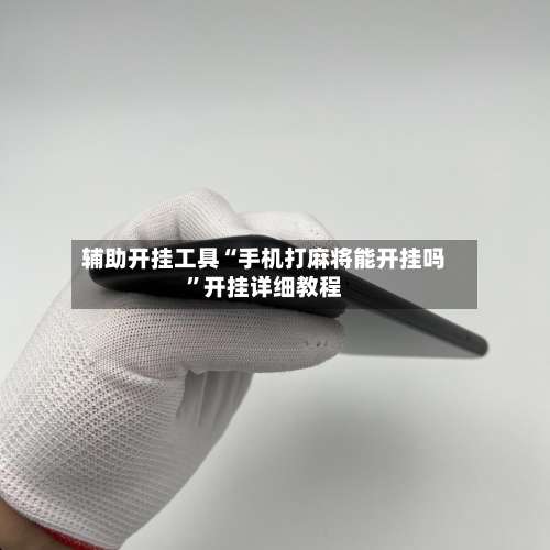 辅助开挂工具“手机打麻将能开挂吗	”开挂详细教程-第3张图片