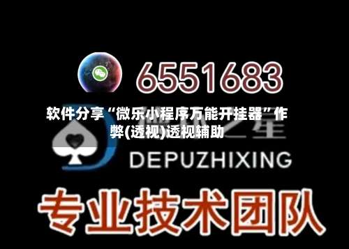 软件分享“微乐小程序万能开挂器	”作弊(透视)透视辅助-第1张图片