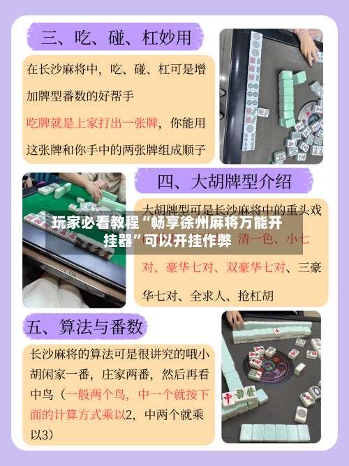 玩家必看教程“畅享徐州麻将万能开挂器”可以开挂作弊-第2张图片