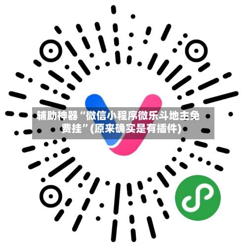 辅助神器“微信小程序微乐斗地主免费挂”(原来确实是有插件)-第3张图片