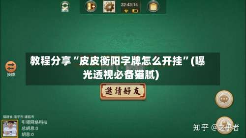教程分享“皮皮衡阳字牌怎么开挂”(曝光透视必备猫腻)-第2张图片