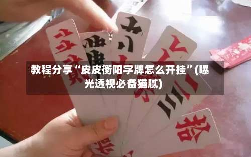 教程分享“皮皮衡阳字牌怎么开挂”(曝光透视必备猫腻)-第3张图片