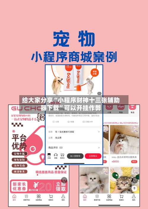 给大家分享“小程序财神十三张辅助器下载	”可以开挂作弊-第3张图片