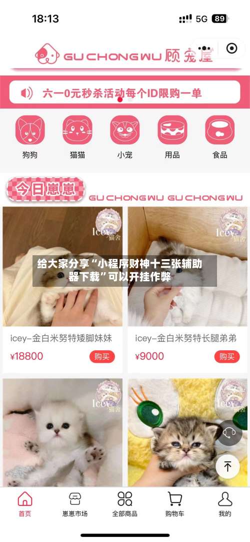 给大家分享“小程序财神十三张辅助器下载”可以开挂作弊-第1张图片