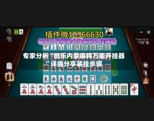 专家分析“微乐内蒙麻将万能开挂器”详细分享装挂步骤-第2张图片