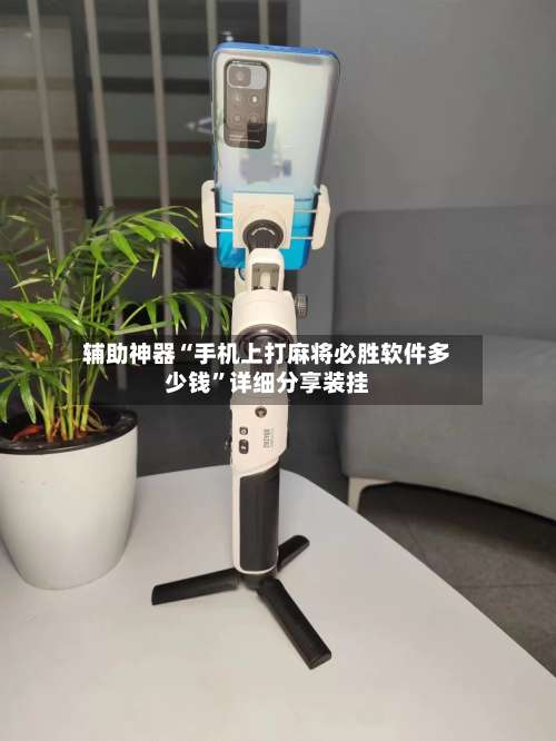 辅助神器“手机上打麻将必胜软件多少钱”详细分享装挂-第3张图片