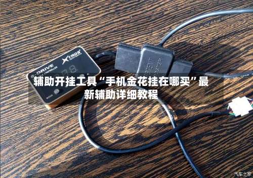 辅助开挂工具“手机金花挂在哪买	”最新辅助详细教程-第1张图片