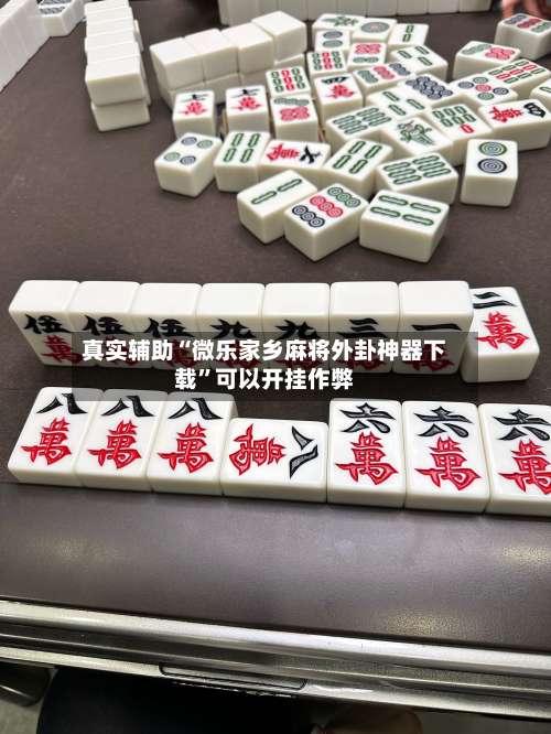 真实辅助“微乐家乡麻将外卦神器下载”可以开挂作弊-第3张图片