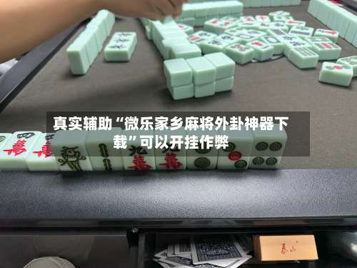 真实辅助“微乐家乡麻将外卦神器下载”可以开挂作弊-第2张图片