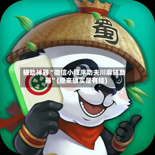 辅助神器“微信小程序功夫川麻辅助器”(原来确实是有挂)-第2张图片