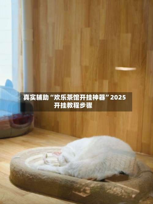 真实辅助“欢乐茶馆开挂神器”2025开挂教程步骤-第3张图片