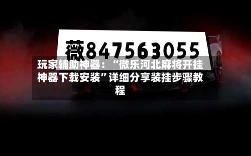 玩家辅助神器：“微乐河北麻将开挂神器下载安装	”详细分享装挂步骤教程-第3张图片