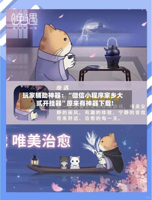 玩家辅助神器：“微信小程序家乡大贰开挂器”原来有神器下载!-第1张图片