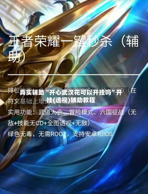 真实辅助“开心武汉花可以开挂吗”开挂(透视)辅助教程-第1张图片