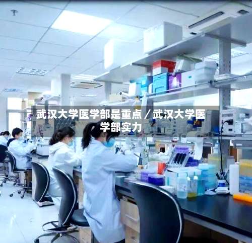 武汉大学医学部是重点／武汉大学医学部实力-第3张图片