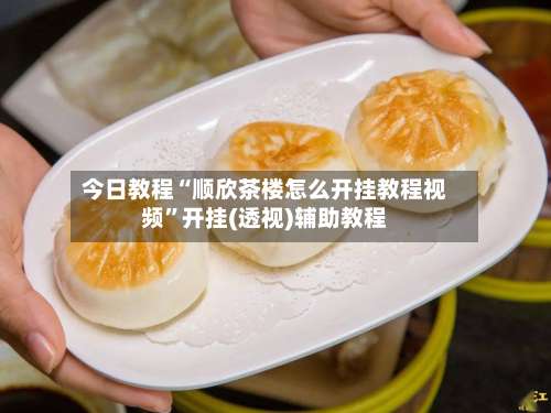 今日教程“顺欣茶楼怎么开挂教程视频	”开挂(透视)辅助教程-第3张图片