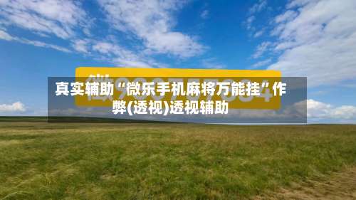 真实辅助“微乐手机麻将万能挂	”作弊(透视)透视辅助-第2张图片