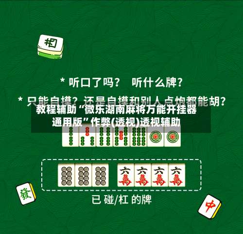 教程辅助“微乐湖南麻将万能开挂器通用版”作弊(透视)透视辅助-第1张图片