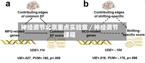 神经调节北京重点实验室／神经调节课程-第2张图片