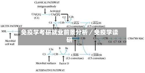 免疫学考研就业前景分析/免疫学读研-第1张图片
