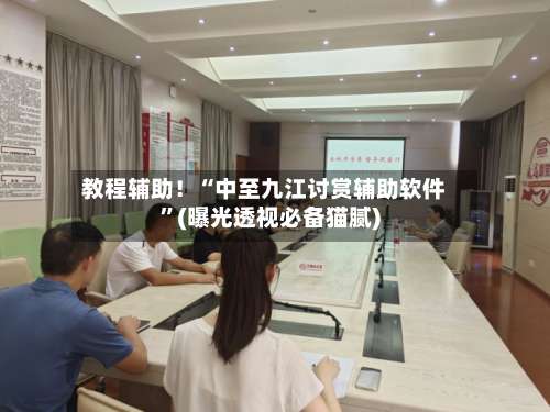 教程辅助！“中至九江讨赏辅助软件”(曝光透视必备猫腻)-第3张图片