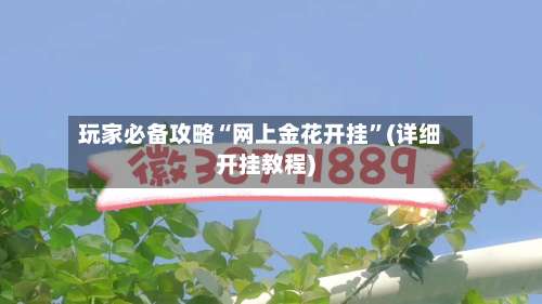玩家必备攻略“网上金花开挂”(详细开挂教程)-第1张图片