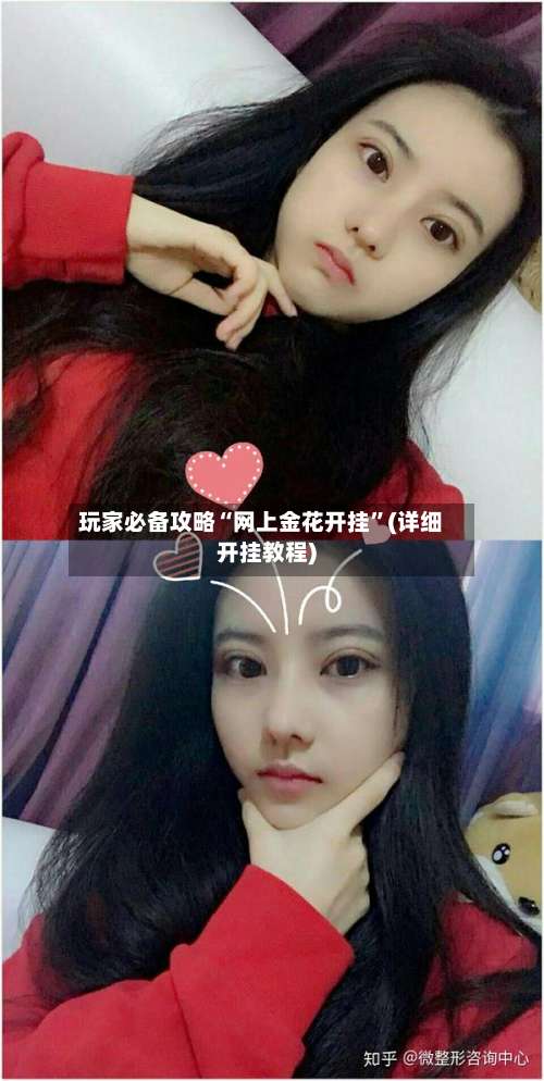 玩家必备攻略“网上金花开挂	”(详细开挂教程)-第2张图片