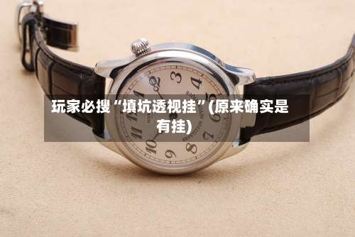 玩家必搜“填坑透视挂	”(原来确实是有挂)-第1张图片