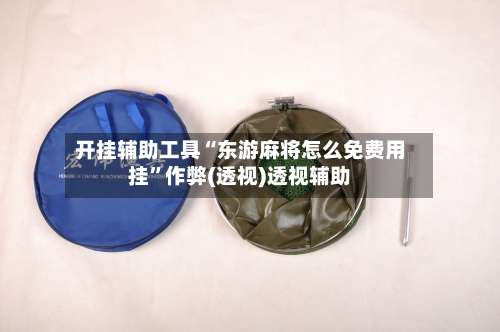 开挂辅助工具“东游麻将怎么免费用挂”作弊(透视)透视辅助-第1张图片
