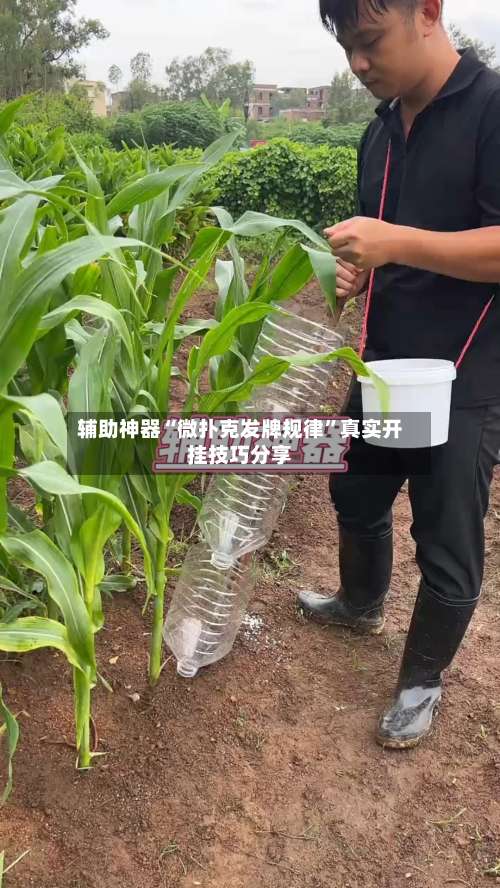 辅助神器“微扑克发牌规律”真实开挂技巧分享-第2张图片