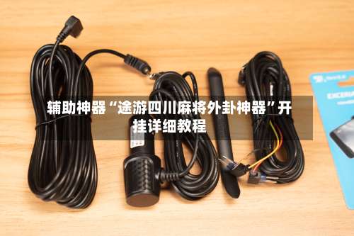 辅助神器“途游四川麻将外卦神器	”开挂详细教程-第1张图片