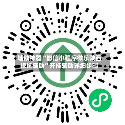 辅助神器“微信小程序微乐陕西挖坑辅助”开挂辅助详细步骤-第3张图片