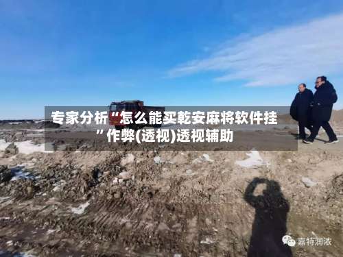 专家分析“怎么能买乾安麻将软件挂”作弊(透视)透视辅助-第2张图片